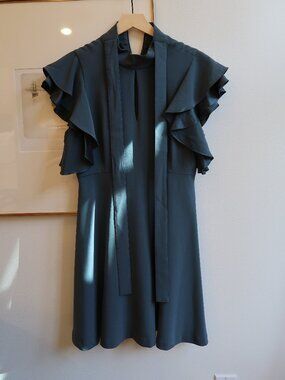 Cinq A Sept Reiko Flutter Sleeve Silk Contrast Dress